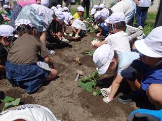 DSC09909_R.JPG