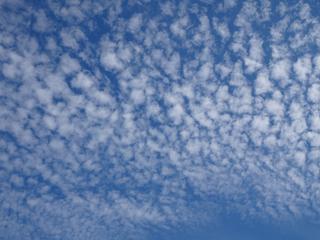 DSC09917_R.JPG