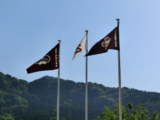 CIMG4376.JPG