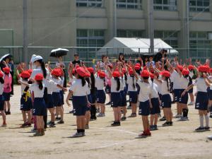 CIMG5177.JPG