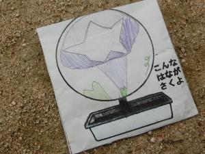 CIMG5227.JPG