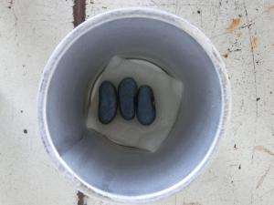 CIMG5261.JPG