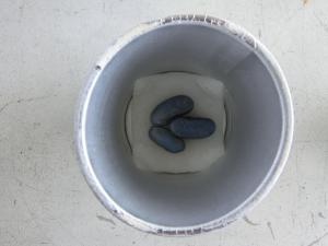 CIMG5268.JPG