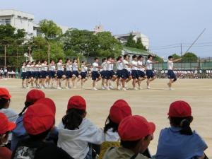 CIMG5587.JPG