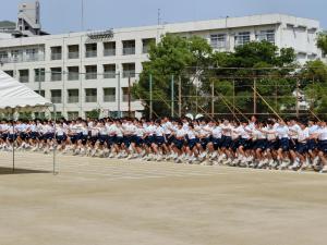 CIMG5596.JPG