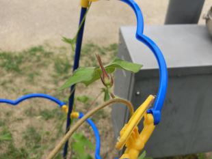CIMG6000.JPG