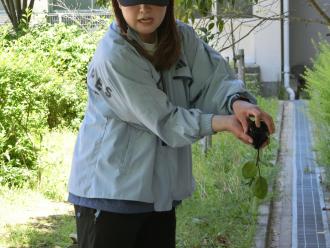 CIMG9545.JPG