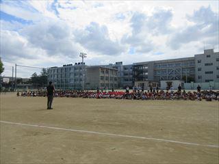 IMG_5029_R.JPG