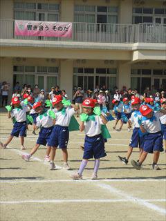 IMG_5319_R.JPG
