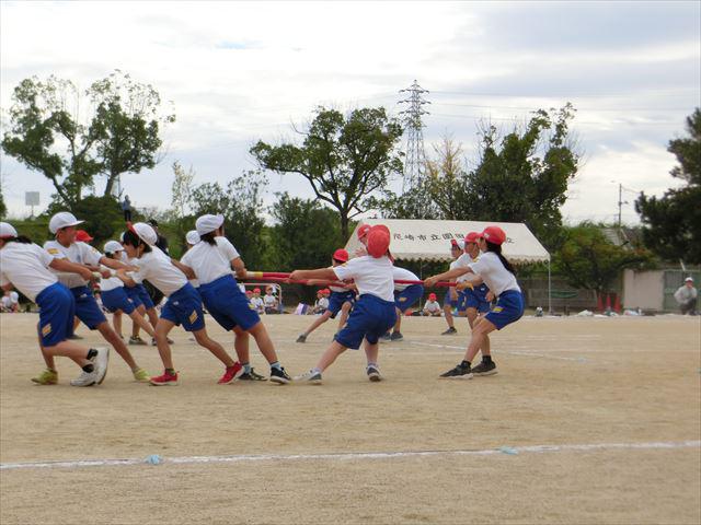 CIMG2173_R.JPG