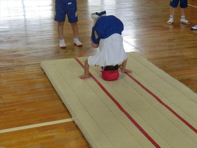 CIMG2264_R.JPG