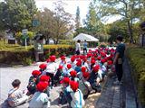 IMG_20260428_102916_R.jpg