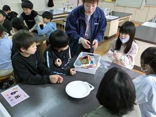 CIMG1593.jpg