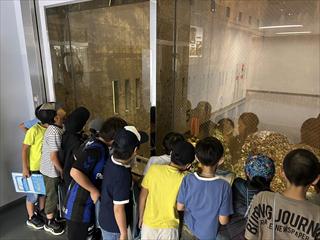 IMG_2515_R.JPG