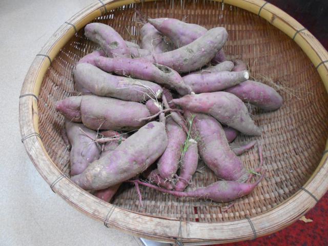 DSCN7070.JPG