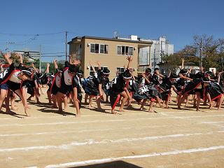 CIMG5425.jpg