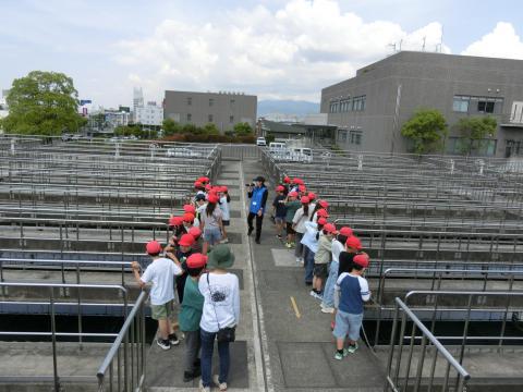 CIMG9337.JPG