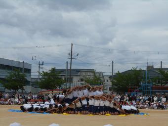 DSCN7053.JPG