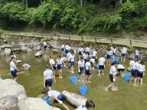 IMG_20250701_122950505.jpg