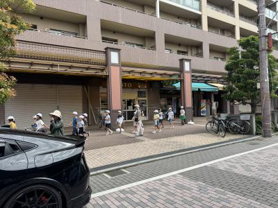 IMG_3252.jpeg