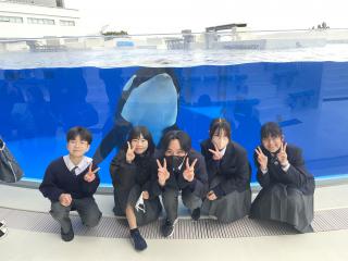 IMG_0713.jpeg