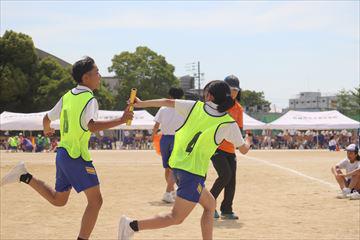 IMG_8161_R.JPG