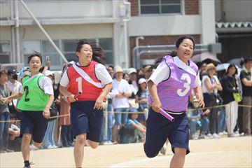 IMG_8256_R.JPG
