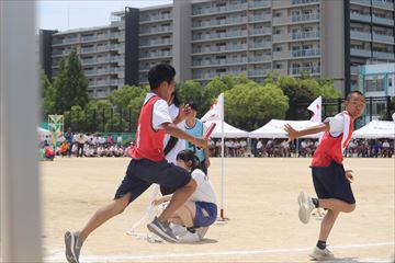 IMG_8346_R.JPG