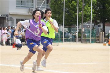 IMG_8383_R.JPG
