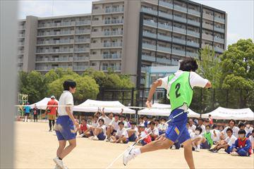 IMG_8567_R.JPG