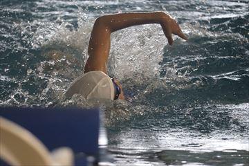 IMG_9268_R.JPG