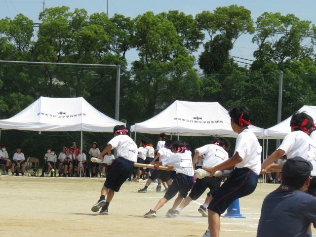 IMG_6268_LI.jpg