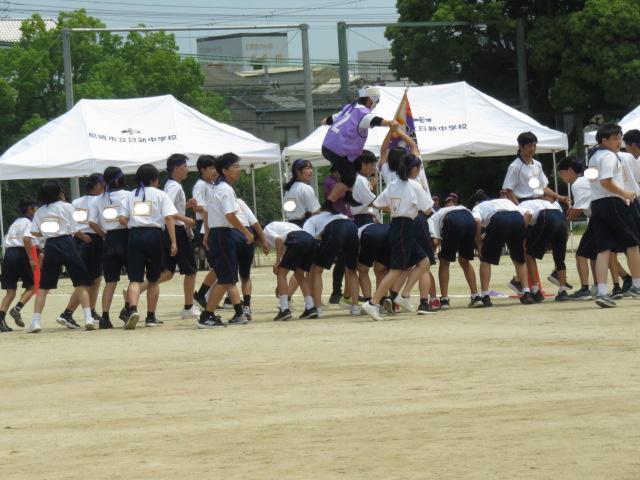 IMG_6291_LI.jpg