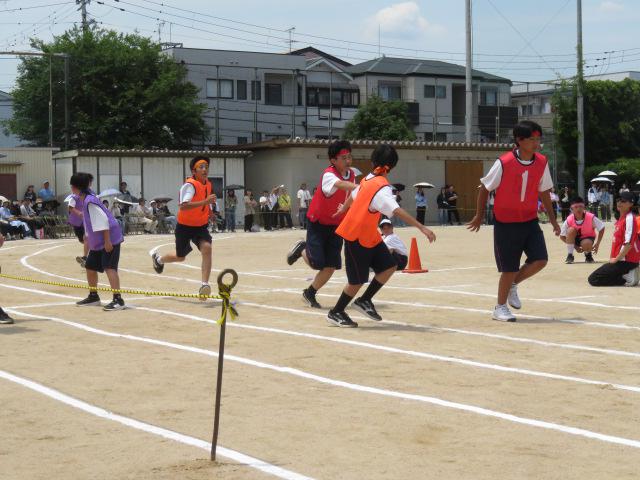 IMG_6367.JPG
