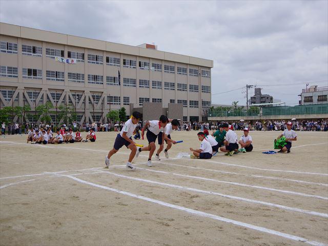 IMGP9709_R.JPG