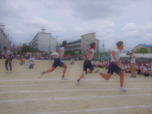 IMGP9718_R.JPG