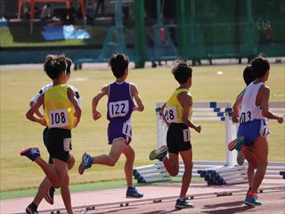 IMG_9914_R.JPG