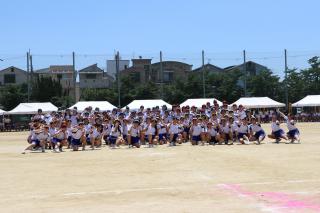 IMG_5973.JPG