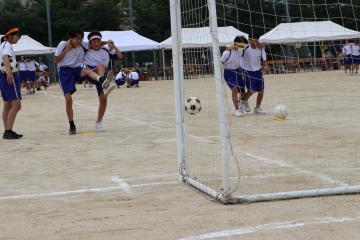 IMG_6459.JPG