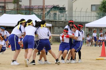 IMG_6495.JPG
