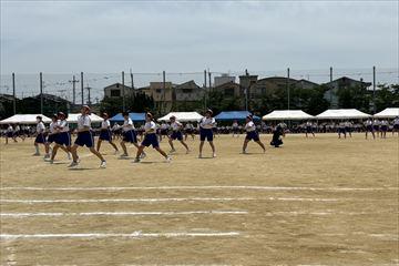 IMG_3567_R.jpg