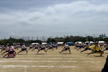 IMG_3589_R.jpg