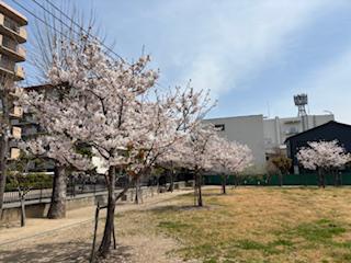 IMG_9183.jpg