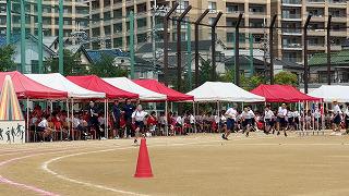 IMG_2062.jpg