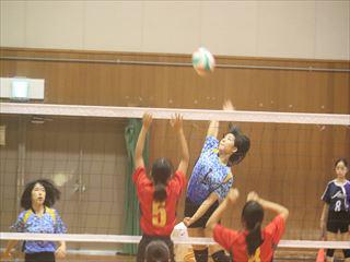 IMG_0761_R.JPG