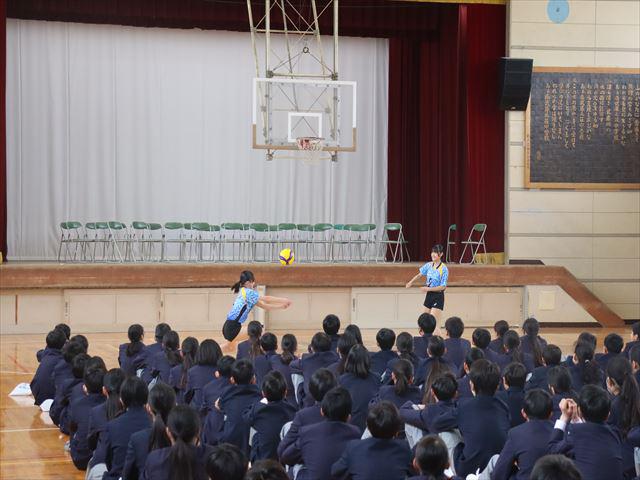 IMG_2546_R.JPG