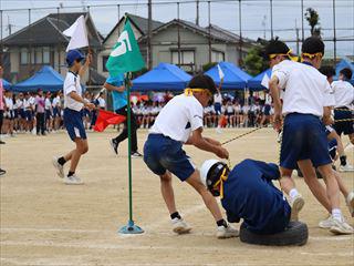 IMG_2924.JPG