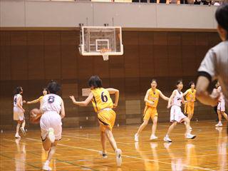 IMG_3502_R.JPG