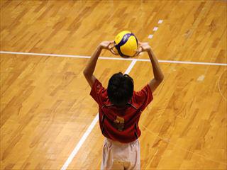IMG_4115.JPG