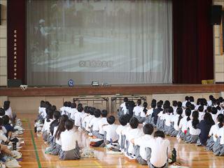 IMG_4298_R.JPG